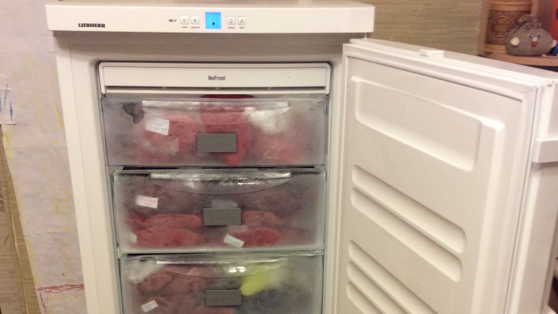 Ремонтируемые модели морозильных камер Gorenje в Кирове